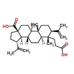 3,4-断羽扇豆-4(23),20(29)-二烯-3,28-二酸 结构式