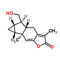 银线草内酯 C 结构式