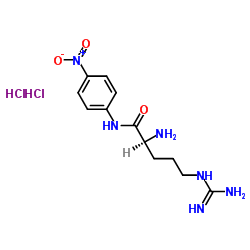 L-精氨酸对硝基酰苯胺二盐酸盐 结构式