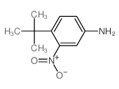4-(1,1-二甲基乙基)-3-硝基苯胺 结构式
