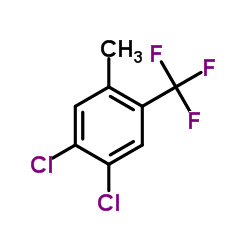 4,5-二氯-2-甲基三氟甲苯 结构式