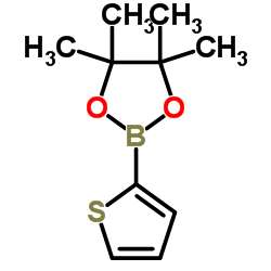 2-噻吩硼酸频哪醇酯 结构式
