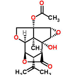 13-O-乙酰基马桑宁 结构式