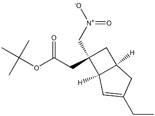 2-((1R,5S,6S)-3-乙基-6-(硝基甲基)双环[3.2.0]庚-3-烯-6-基)乙酸叔丁酯 结构式