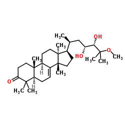 黄柏呈 结构式