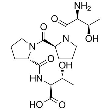 NT 13 结构式
