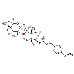 6-O-对甲氧基肉桂酰梓醇 结构式