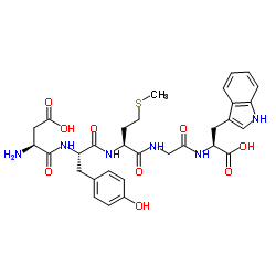 天冬氨酰-酪氨酰-甲硫氨酰-甘氨酰-色氨酸 结构式