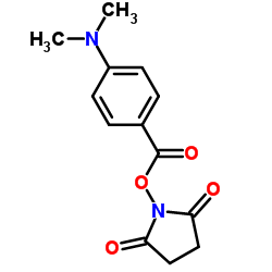 4-(二甲胺基)苯甲酸 N-羟基琥珀酰亚胺酯 结构式
