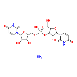 尿酸酶 结构式