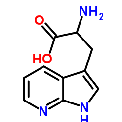 (αS)-α-氨基-1H-吡咯并[2,3-b]吡啶-3-丙酸 结构式