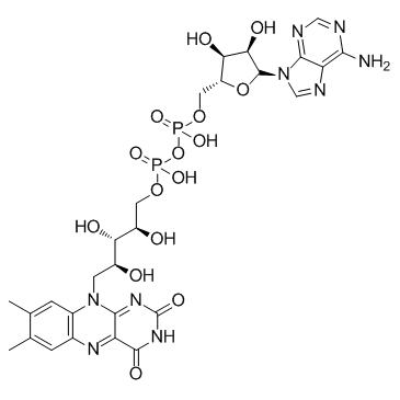 黄素腺嘌呤二核苷酸 结构式