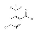 6-氯-4-(三氟甲基)烟酸 结构式