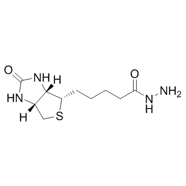 D-生物素酰肼 结构式