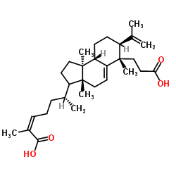 南五味子酸 结构式