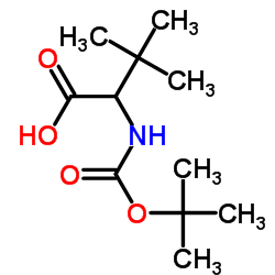 2-叔丁氧羰基氨基3,3-二甲基丁酸 结构式