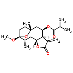 3-O-甲基圆叶肿柄菊素 D 结构式