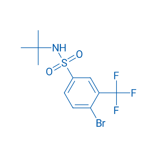 4-溴-N-(叔丁基)-3-(三氟甲基)苯磺酰胺 结构式