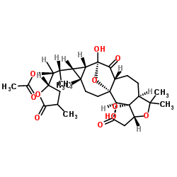 前五味子素 B 结构式