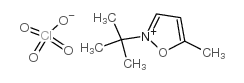 N-叔丁基-5-甲异噁唑高氯酸盐 结构式