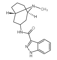 格拉司琼杂质2 结构式