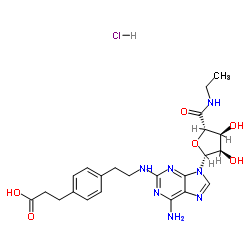 腺苷A2A受体激动剂I，CGS 21680，盐酸盐水合物 结构式
