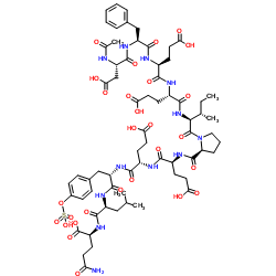 乙酰基-水蛭素(55-65)(硫酸化) 结构式