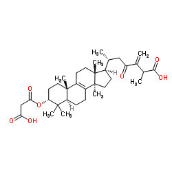 3ALPHA-羧基乙酰氧基-24-亚甲基-23-氧代羊毛甾-8-烯-26-酸 结构式
