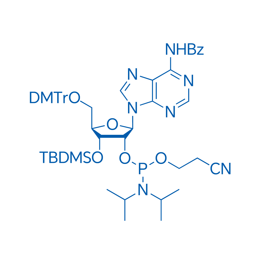 3'-TBDMS-Bz-rA 亚磷酰胺单体 结构式