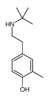 4-叔丁基氨基乙基-2-甲基苯酚 结构式