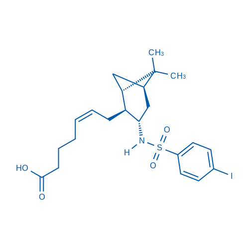 I-SAP 结构式