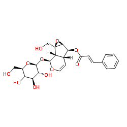 6-O-肉桂酰梓醇 结构式
