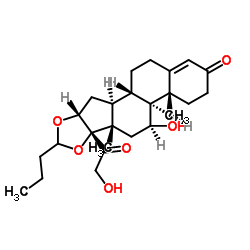 Budesonide Related Compound G 结构式