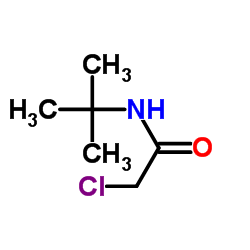 N-(叔丁基)-2-氯乙酰胺 结构式
