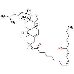 (±)-13-羟基-9Z,11E-十八碳二烯酸胆固醇酯 结构式