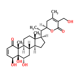2,3-二脱氢梭菌素 结构式