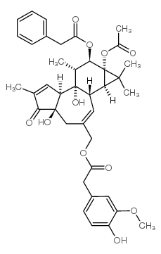 PPAHV 结构式