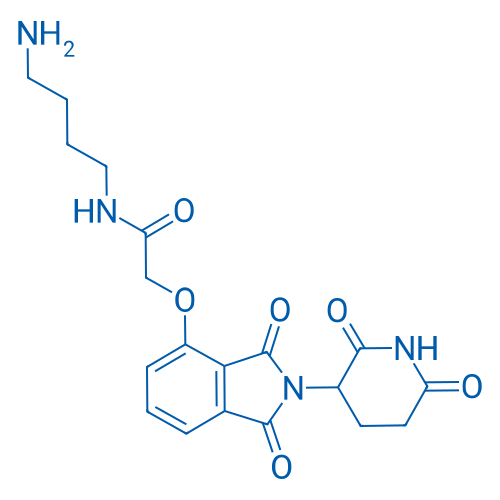 N-(4-氨基丁基)-2-((2-(2,6-二氧代哌啶-3-基)-1,3-二氧异吲哚啉-4-基)氧基)乙酰胺 结构式