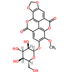 紫树甙 结构式
