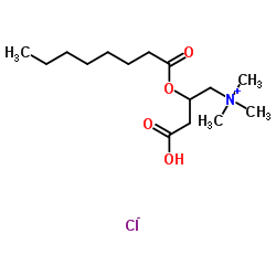 (±)-辛酰肉碱氯化物 结构式