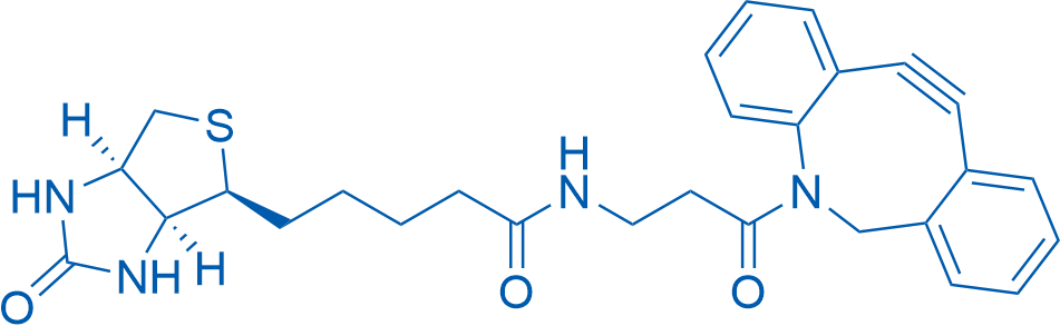 (3aS,4S,6aR)-N-[3-(11,12-二脱氢二苯并[b,f]氮杂环辛-5(6H)-基)-3-氧代丙基]六氢-2-氧代-1H-噻吩并[3,4-d]咪唑-4-戊酰胺 结构式