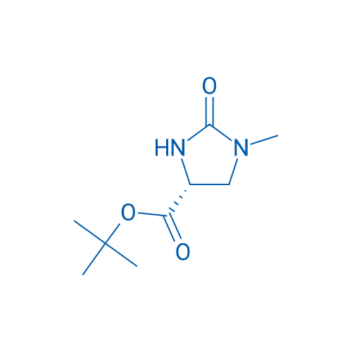 (R)-1-甲基-2-氧代咪唑烷-4-羧酸叔丁酯 结构式