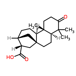 对映-3-氧代贝壳杉烷-17-酸 结构式