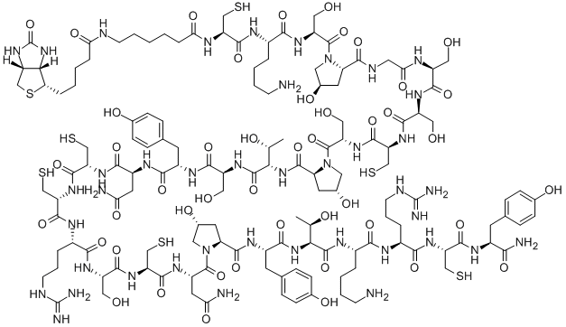生物素基-εAhx-ω-芋螺毒素GVIA 结构式