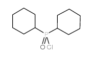 二环己基磷酰氯 结构式