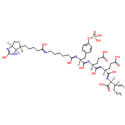 BIOTIN-LC-TYR(PO3H2)-GLU-GLU-ILE 结构式