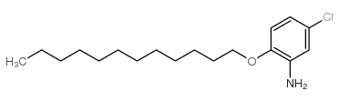 5-氯-2-十二烷氧基苯胺 结构式