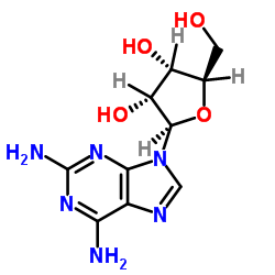 2-氨基腺嘌呤核苷 结构式