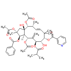 Jatrophane 3 结构式