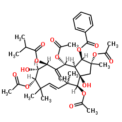 Jatrophane 4 结构式